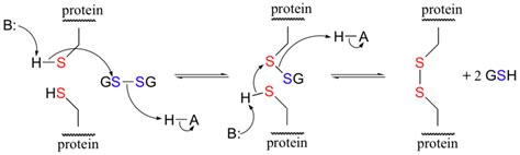 Any advice in forming disulfide bond between two proteins? | ResearchGate