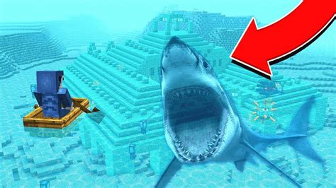 I GOT ATTACKED BY A SHARK! (LIVE FOOTAGE) - YouTube