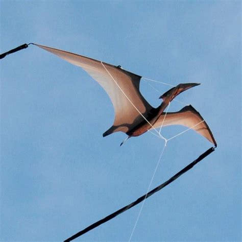 Jurassic Kites – The home of the 'Pterodactyl', the life-like flying dinosaur kite