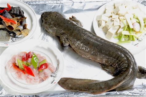 Chinese Food: Giant salamander Stock Photo by ©bbbbar 44406227