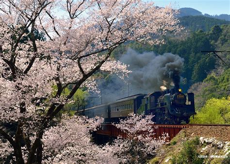 Shizuoka Prefecture (Japan) | Booking & other various services