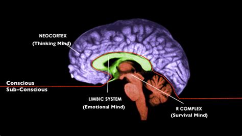 The Secret to Training your Subconscious Mind to Lose Weight - Body Knows Best: Nutrition and ...