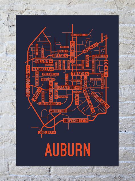 Auburn, Alabama Street Map Print - School Street Posters