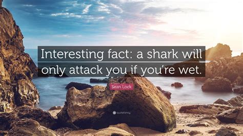 Sean Lock Quote: “Interesting fact: a shark will only attack you if you’re wet.”