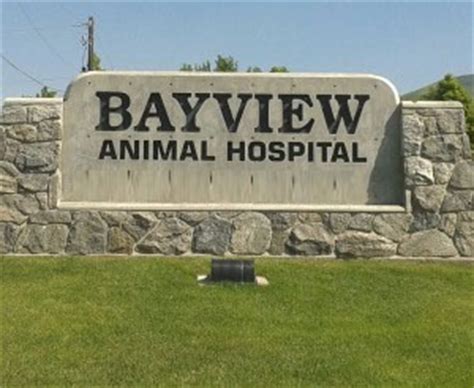 About Our Animal Hospital | Bayview Animal Hospital