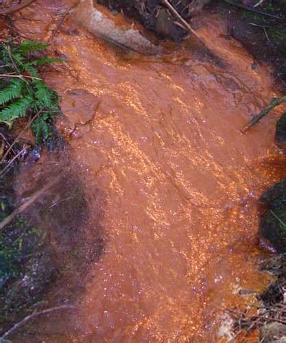 Iron Related Bacteria Test – Hach Test – Hard and Soft Water