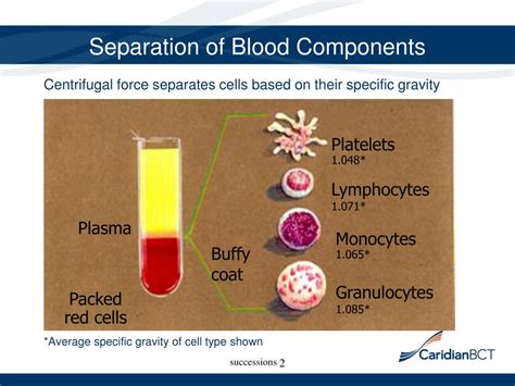 PPT - An Overview of Therapeutic Plasma Exchange PowerPoint Presentation - ID:672887