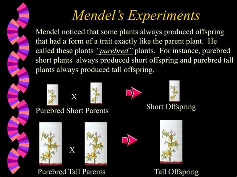 PPT - Gregor Mendel PowerPoint Presentation, free download - ID:149511