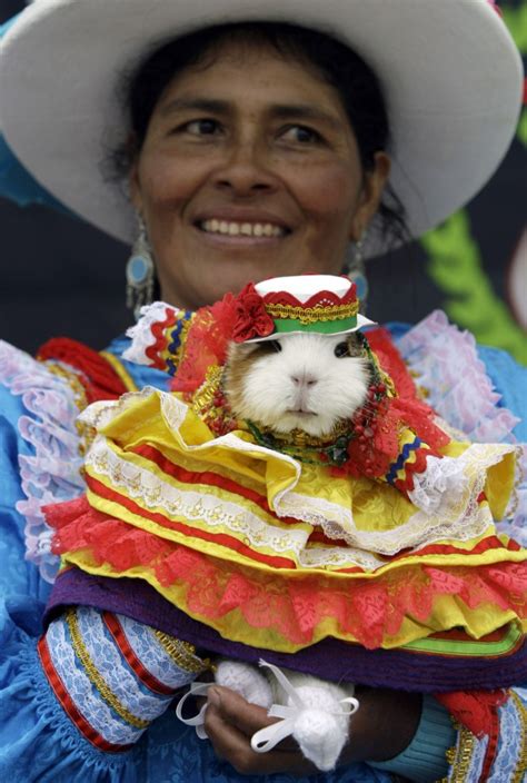 Anorak News | Peru’s Guinea Pig Festival In Photos: Playing With Your Food