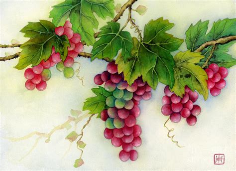 Grapes Painting by Hailey E Herrera - Pixels