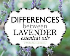 24 Lavender Essential Oil ideas | lavender essential oil, essential oils, oils