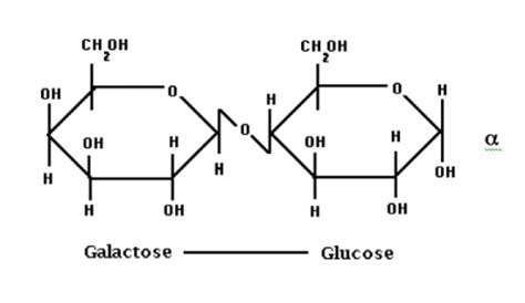 Lactose | Food Science