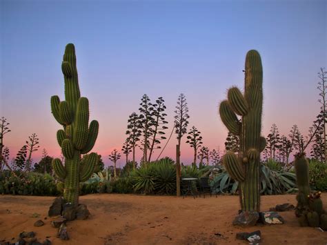 Cactus Country, Attraction, The Murray, Victoria, Australia