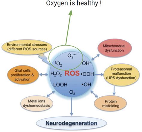 Decrypting Oxidative Stress vs ROS | Download Scientific Diagram