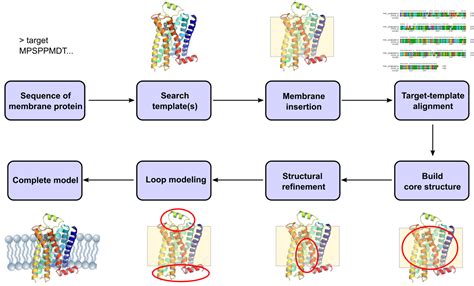 Membrane Protein Modeling - Profacgen