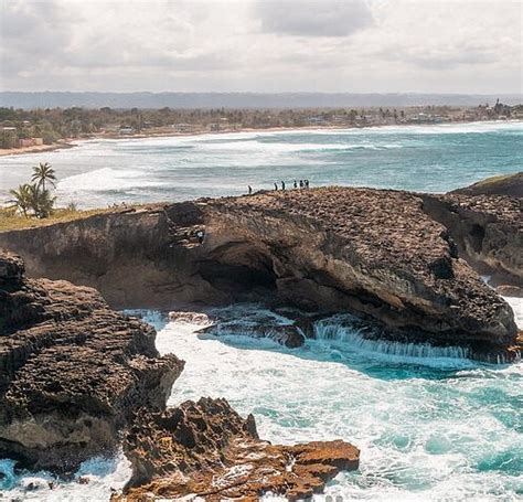 THE 15 BEST Things to Do in Arecibo - 2024 (with Photos) - Tripadvisor