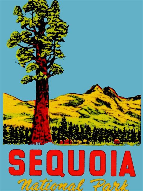 "Sequoia National Park California Vintage Travel Decal" Sticker by ...