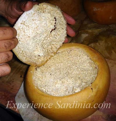 TIL there's a cheese from Sardinia with maggots in it that's outlawed by European Union food ...