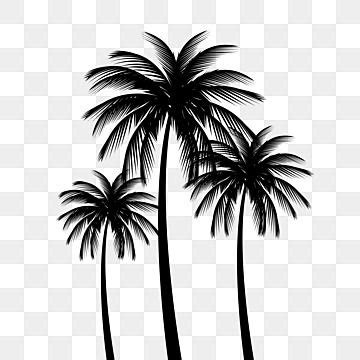 Small Palm Tree Silhouette PNG Transparent, Detailed Palm Tree Vector Silhouette, Palm, Tree ...