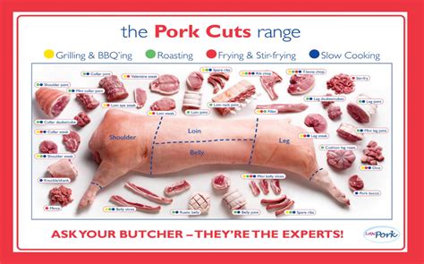 The Pork cuts range Infographic Chart 18"x28" (45cm/70cm) Canvas Print ...