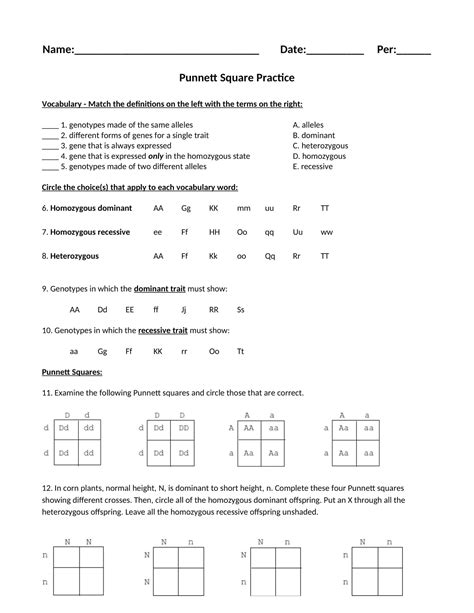 Blank Punnett Square Worksheet