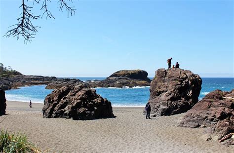 12 Top-Rated Hiking Trails in Tofino, BC | PlanetWare