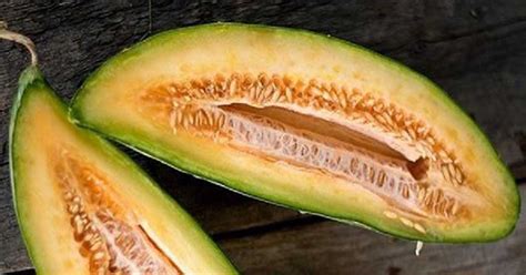 Banana Melon: How to Grow Banana Melons from Seeds | luv2garden.com