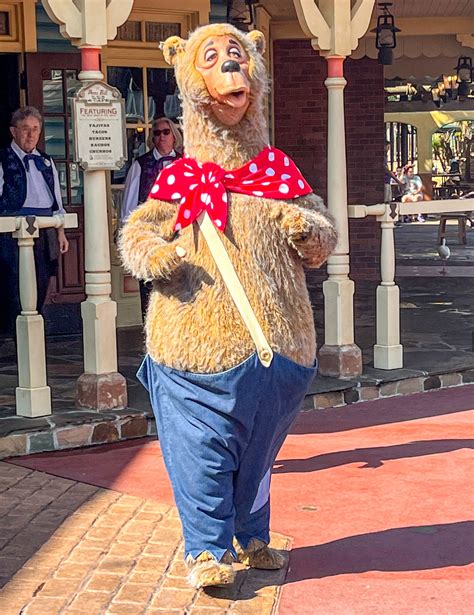 NEWS: Country Bears Are Greeting Guests Again in Magic Kingdom ...