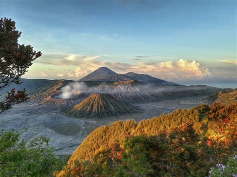 Little thots: Taman Nasional Bromo Tengger Semeru