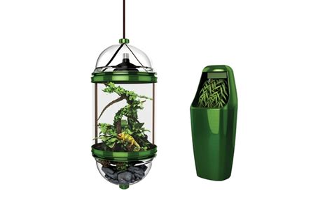 Chameleon Habitat or Fountain | Groupon Goods