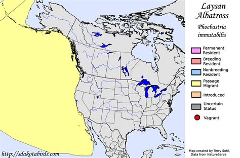 Laysan Albatross - Species Range Map