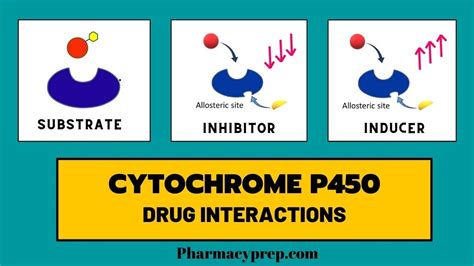 Cytochrome P450 [Drug Interactions] - YouTube