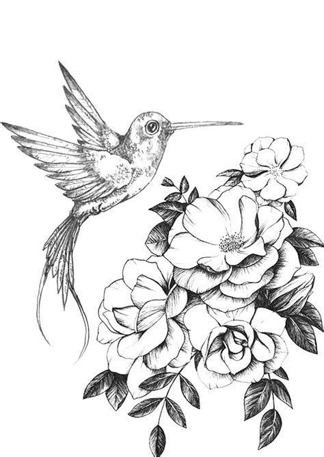 Visite o post para mais. Pencil Drawings Of Flowers, Art Drawings Sketches Pencil, Bird Drawings ...