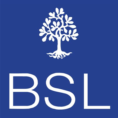 BSL logo, Vector Logo of BSL brand free download (eps, ai, png, cdr ...