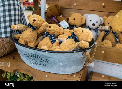 Jeju, Korea, 8th, March, 2019. Interior shot of Teddy Bear Museum gift ...