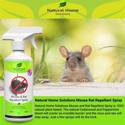 MOUSE RAT Repellent Spray Natural Safe Eco Friendly Humane MADE IN THE ...