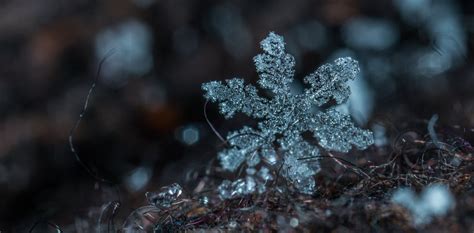 Macro Snowflake Photography Pictures, Photos, and Images for Facebook ...