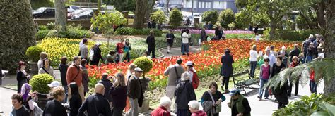 Welly Walks: A place to smell the roses and remember - News and information - Wellington City ...