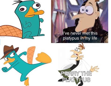 WHAT?!?! Perry the platypus?!? : r/dankmemes