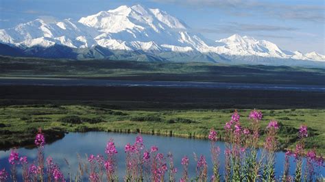 Denali National Park-Mount McKinley Wallpaper Preview | 10wallpaper.com