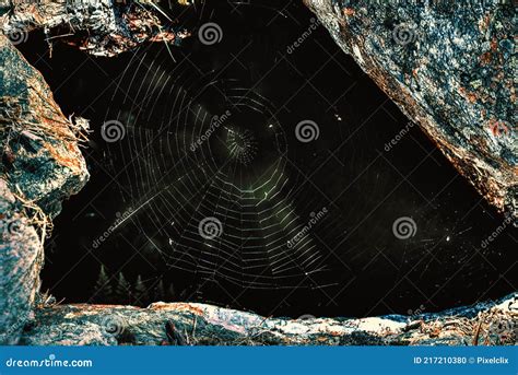 Spider Web in the Woods in a Cave. Stock Photo - Image of woods, cave ...