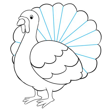 21+ Turkey Line Drawing : Free Coloring Pages