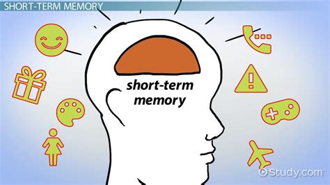 Atkinson & Shiffrin's Modal Model of Memory - Video & Lesson Transcript | Study.com