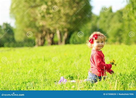 Cute Little Girl Playing with Flowers on Grass Stock Photo - Image of little, leisure: 67308828