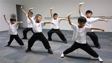 Wushu | Hua Ying Wushu & Tai Chi Academy