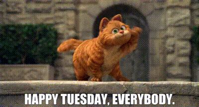 Happy Tuesday Gif - GIFcen