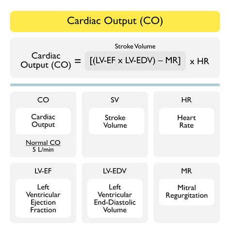 CARDIAC OUTPUT EQUATION – MD Nexus