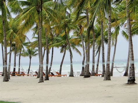 The Beaches of Bohol | Bohol, Beach, Adventure tours