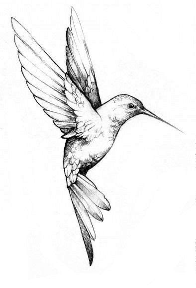 Pin by Koutsoublue Blue on Arte de fumaça | Hummingbird tattoo black, Hummingbird art drawi ...