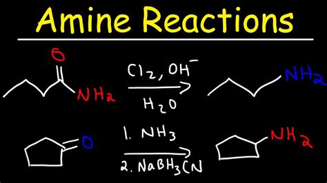 Amine Synthesis Reactions - YouTube